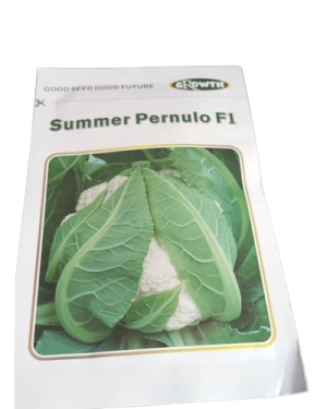 Summer Pernulo F1 Cauliflower Seeds from HTS Farms