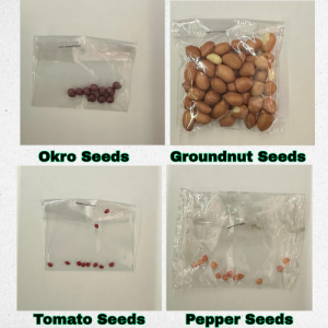 1k Garden Vegetable Seeds from HTS Farms