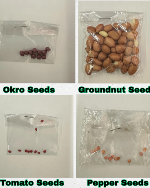 1k Garden Vegetable Seeds from HTS Farms