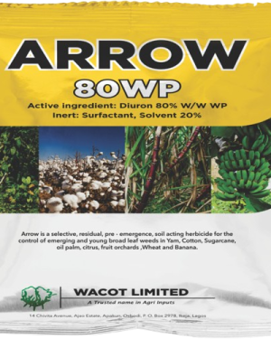 Arrow 80WP Herbicide | 1kg from HTS Farms
