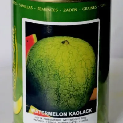 Watermelon Kaolack (Top Harvest) | 100g