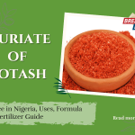 Discover everything about muriate of potash fertilizer-current price in Nigeria, uses, formula, application methods, and composition. Learn how to boost crop yields with this essential potassium fertilizer.