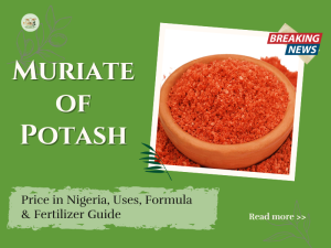 Discover everything about muriate of potash fertilizer-current price in Nigeria, uses, formula, application methods, and composition. Learn how to boost crop yields with this essential potassium fertilizer.