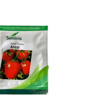 Seminis Ansal F1 Hybrid Tomato | 5g (1000-1900 Seeds) from HTS Farms