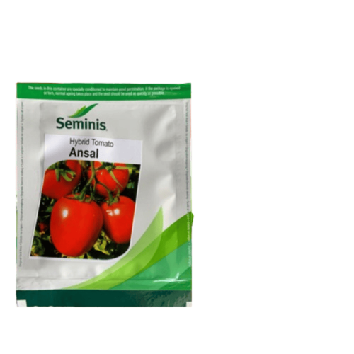 Seminis Ansal F1 Hybrid Tomato | 5g (1000-1900 Seeds)