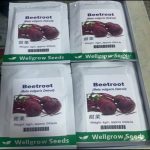 Beetroot (Beta Vulgaris Detroit) Well Grow | 4g (240 Seeds)