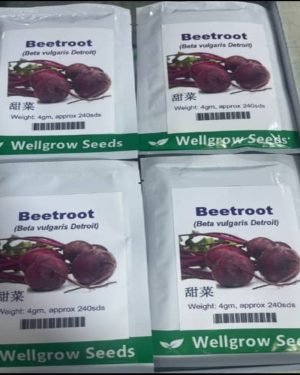 Beetroot (Beta Vulgaris Detroit) Well Grow | 4g (240 Seeds)