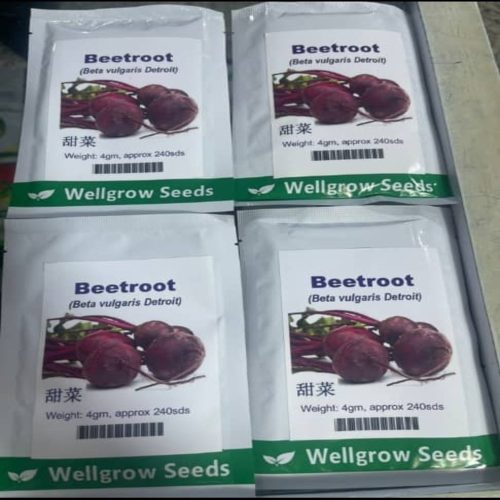 Beetroot (Beta Vulgaris Detroit) Well Grow | 4g (240 Seeds)