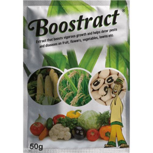 Boostract Biostimulant Seaweed Organic Fertilizer | 50g (MOQ: 3)