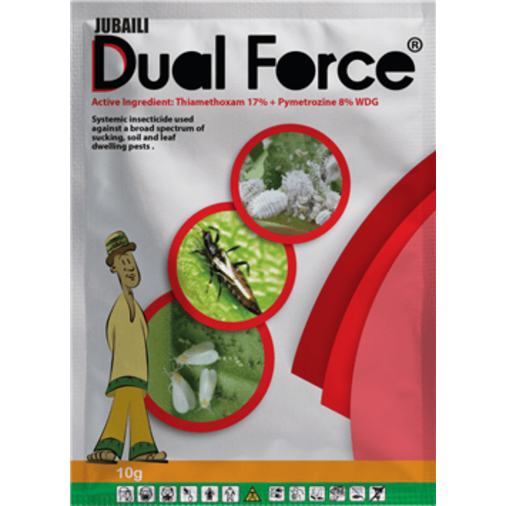 Dual Force Systemic Insecticide (Jubaili) | 10g from HTS Farms