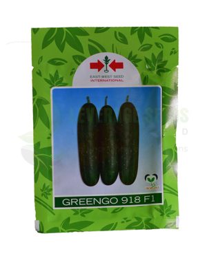 Greengo 918 F1 Cucumber (East West) | 500 Seeds from HTS Farms