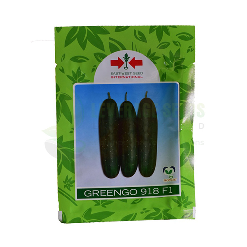Greengo 918 F1 Cucumber (East West) | 500 Seeds from HTS Farms