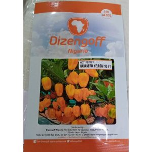 Hot Pepper Habanero Yellow F1 (Dizengoff) | 500 Seeds