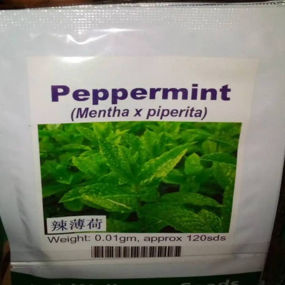 Peppermint (Mentha x piperita) Well Grow | 0.01g (120 Seeds) from HTS Farms