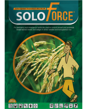 Solo Force Post-Emergence Herbicide (Jubaili) | 20g from HTS Farms
