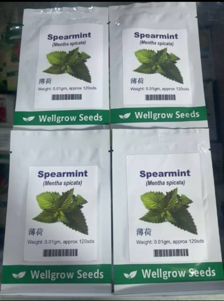 Spearmint (Mentha spicata) Well Grow | 0.01g (120 Seeds) from HTS Farms