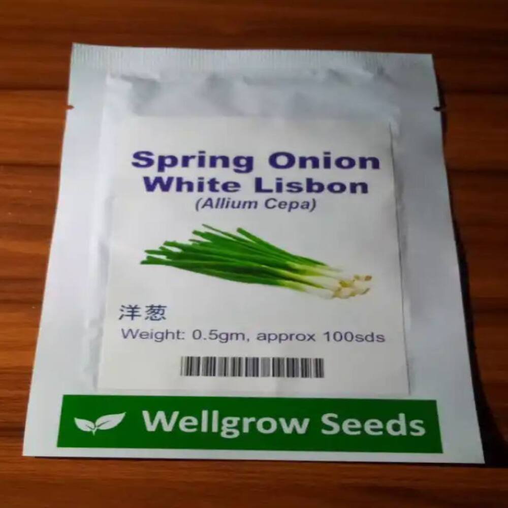 Spring Onion White Lisbon (Allium Cepa) | 0.5g (100 Seeds) from HTS Farms