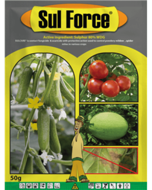 Sul Force Fungicide | 50G MOQ: 5 from HTS Farms