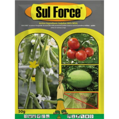Sul Force Fungicide | 50G MOQ: 5