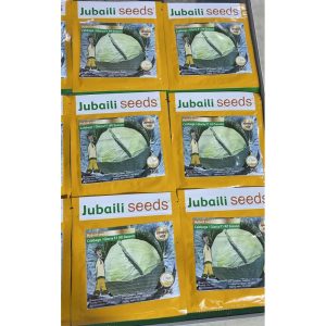 Carrot Touchon Seeds (Jubaili) | 100g from HTS Farms