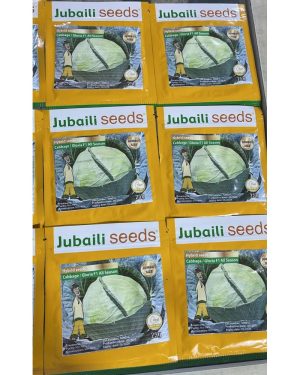 Carrot Touchon Seeds (Jubaili) | 100g from HTS Farms