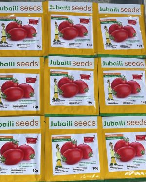 Tomato Jumato F1 Hybrid Seeds (Jubaili) | 10g from HTS Farms