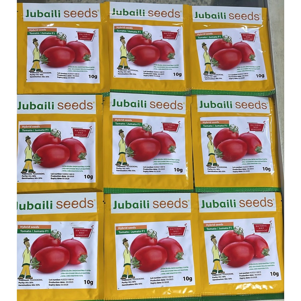 Tomato Jumato F1 Hybrid Seeds (Jubaili) | 10g from HTS Farms