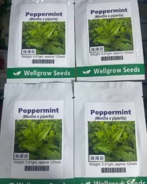 Peppermint (Mentha x piperita) Well Grow | 0.01g (120 Seeds) from HTS Farms