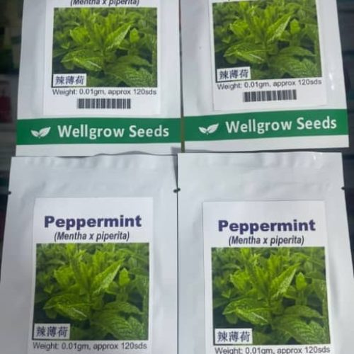 Peppermint (Mentha x piperita) Well Grow | 0.01g (120 Seeds)