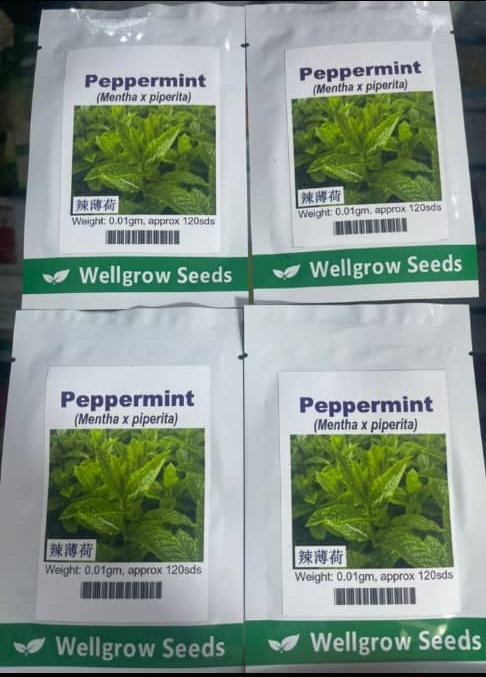 Peppermint (Mentha x piperita) Well Grow | 0.01g (120 Seeds) from HTS Farms