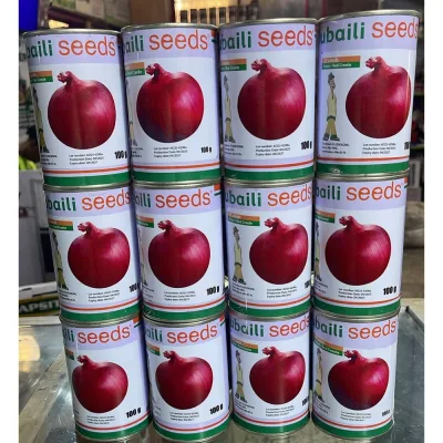 Onion Red Creole Seeds (Jubaili) | 100g