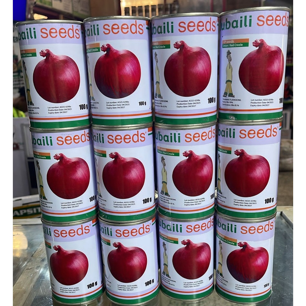 Onion Red Creole Seeds (Jubaili) | 100g from HTS Farms