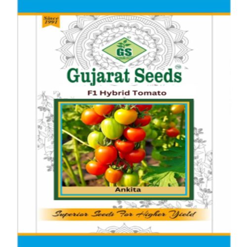 Anikita F1 Hybrid Tomato (Gujarat) Seeds | 5g (MOQ:1)