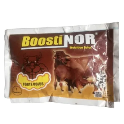 Boostinor Forte Nutrition Bolus | 1 Bolus (MOQ:20 Sachet)