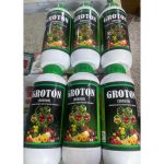 Groton Npk 20:20:20 (Liquid Fertilizer) | 1L (MOQ:3) from HTSFarms