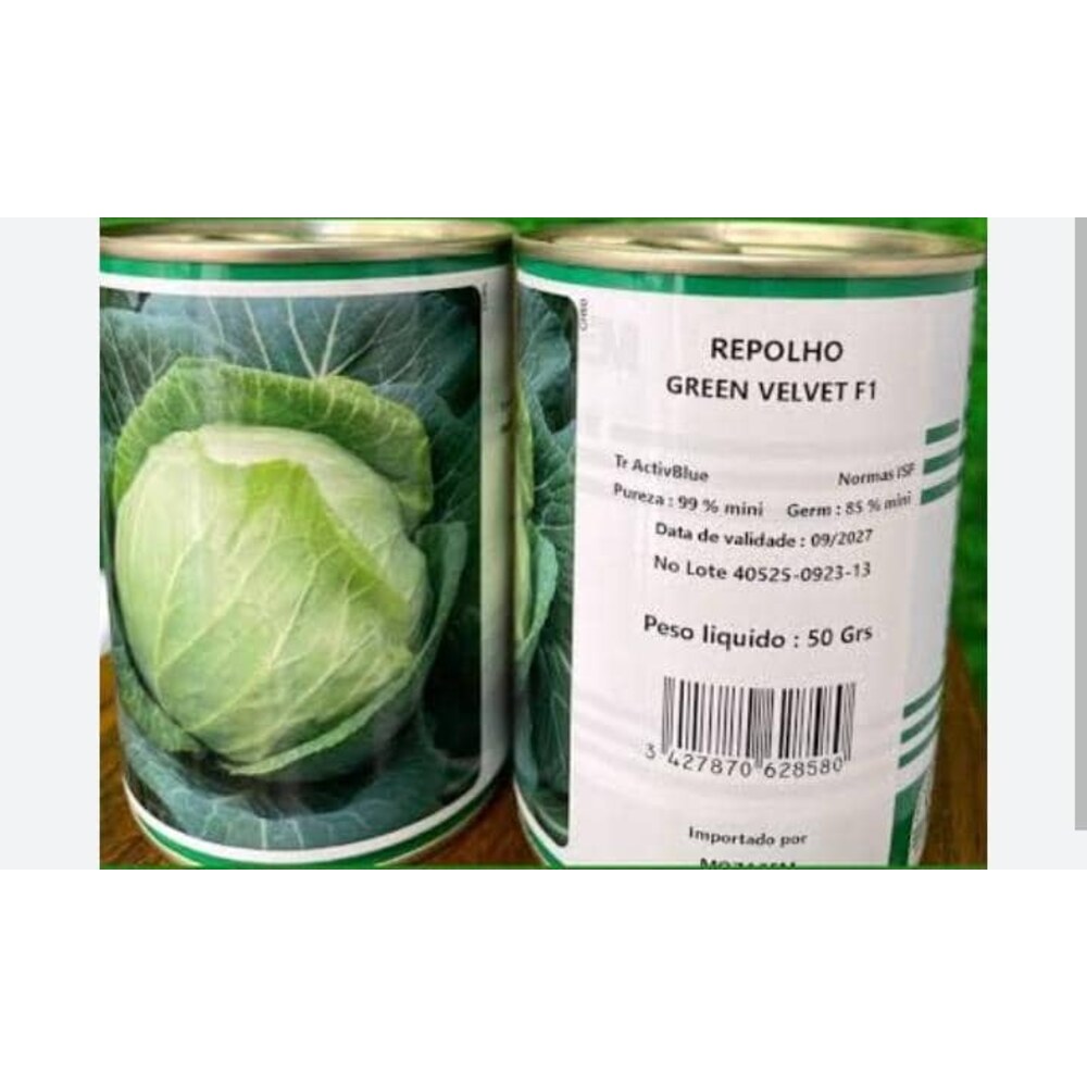 Cabbage Green Velvet F1 Seeds (Technisem) | 50g (MOQ:2)