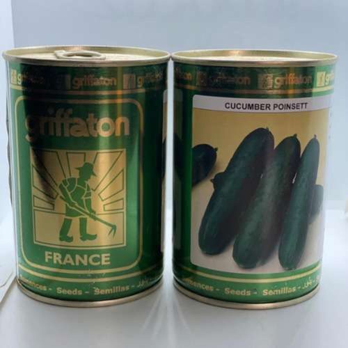 Poinsett Cucumber Hybrid Seeds (Griffaton) | 100g & 500g (MOQ:2)