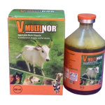 V-Multinor Multi-Vitamin Injection | 100ml (MOQ:5) from HTS Farms