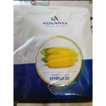 Sweet Corn Seed Hybrix 53 (Advanta) | 250g (MOQ:2)