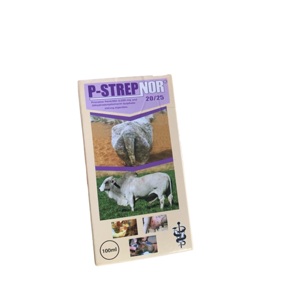 P-Strepnor (Injectable Antibiotic) | 100ml (MOQ:3)
