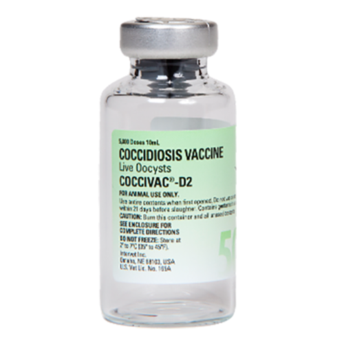 Coccidiosis Vaccine | 1000 Dose