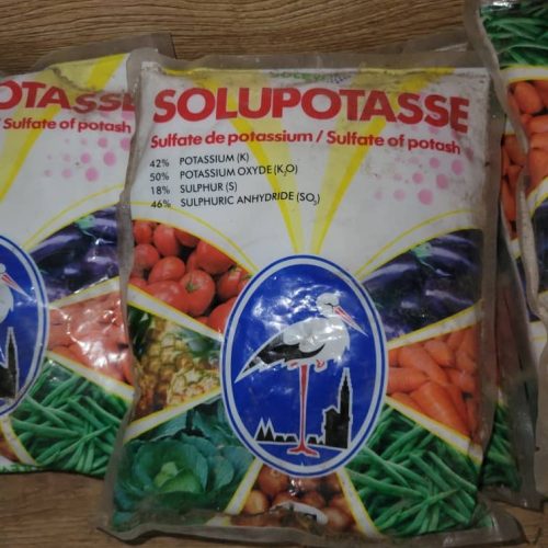 SOLUPOTASSE SOP Fertilizer | 1kg