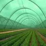 Shade Net Installation