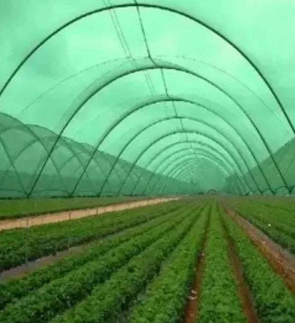 Shade Net Installation