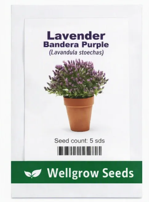 Wellgrow Lavender (Lavandula Stoechas) | 25 seeds