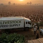 truck of farm supply