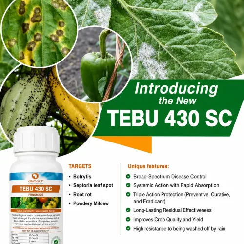 Tebu 430 SC Fungicide | 100g