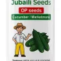 Jubaili Poinsett 76 Cucumber Seed | 100g