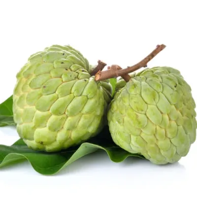 Sugar Apple