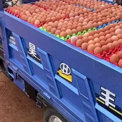 Vanke Cage Farm Delivery Tricycle